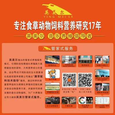 牛饲料的科学选用与合理搭配